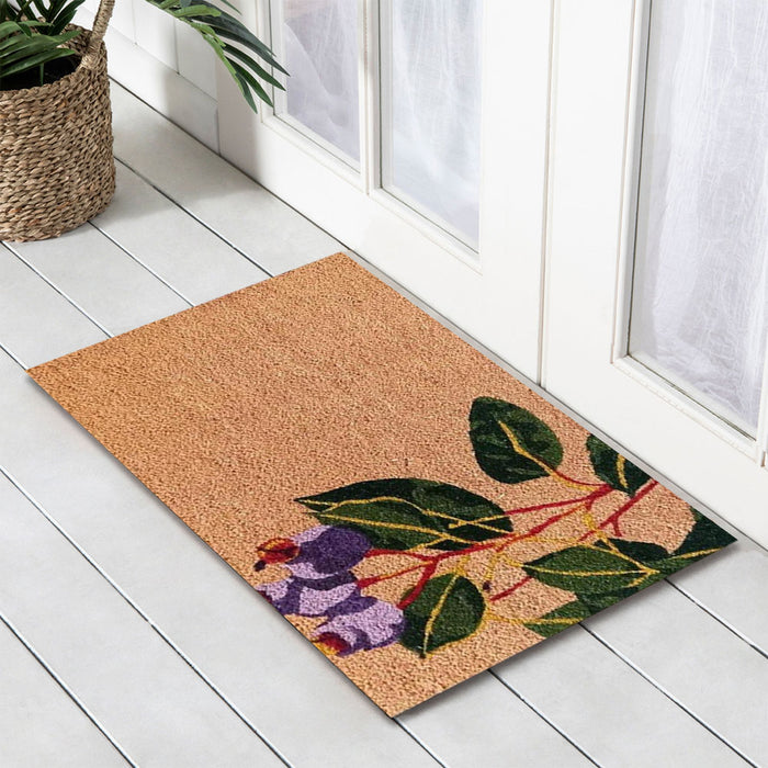 Gum Nut Latex Backed Coir Doormat, 45x75cm