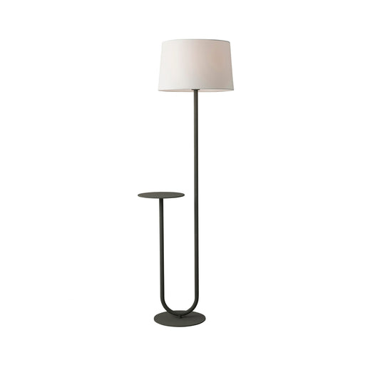 Esta Charcoal Floor Lamp, Lamps, Ozark Home 