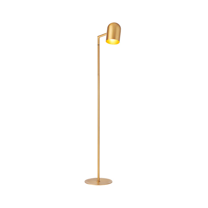 Pia Brass Floor Lamp, Lamps, Ozark Home 