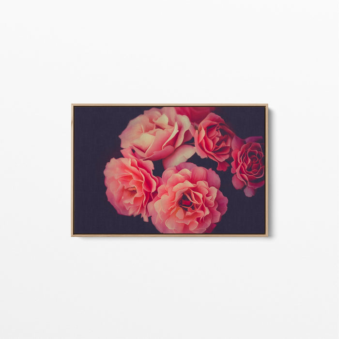 A Twist of Fate - Navy and Pink Rose Artwork Stretched Canvas Wall Art