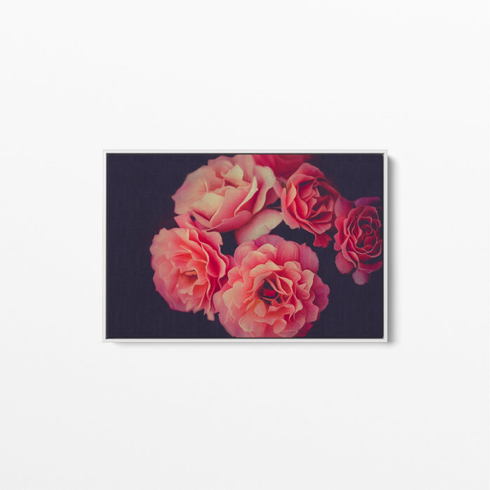 A Twist of Fate - Navy and Pink Rose Artwork Stretched Canvas Wall Art