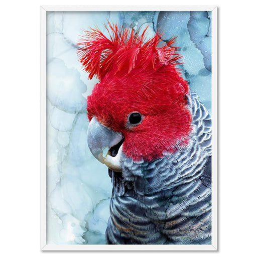 Gang Gang Cockatoo - Art Print - Ozark Home