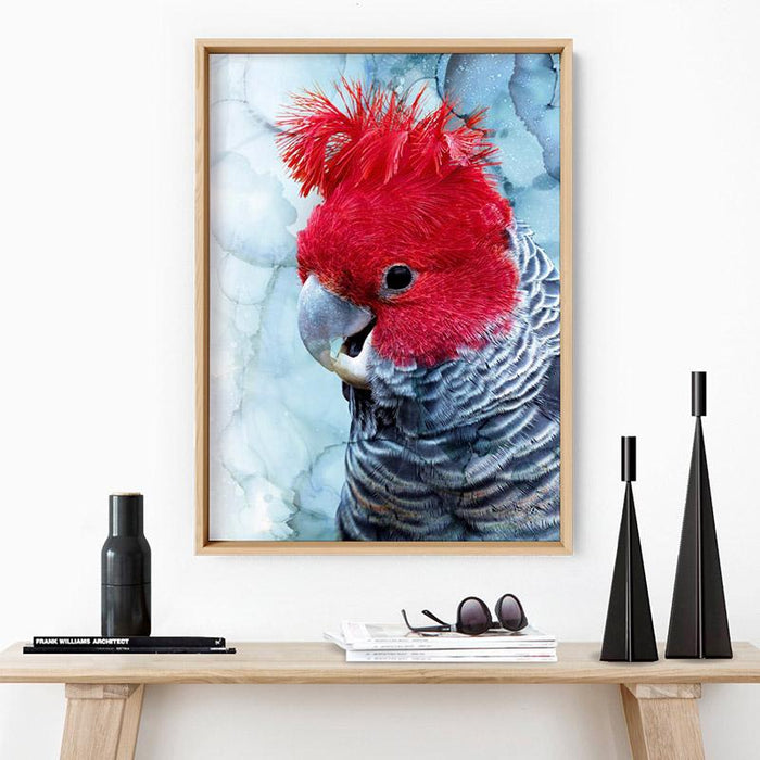 Gang Gang Cockatoo - Art Print - Ozark Home