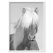 Horse Portrait in Black & White - Art Print - Ozark Home