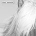 Horse Portrait in Black & White - Art Print - Ozark Home