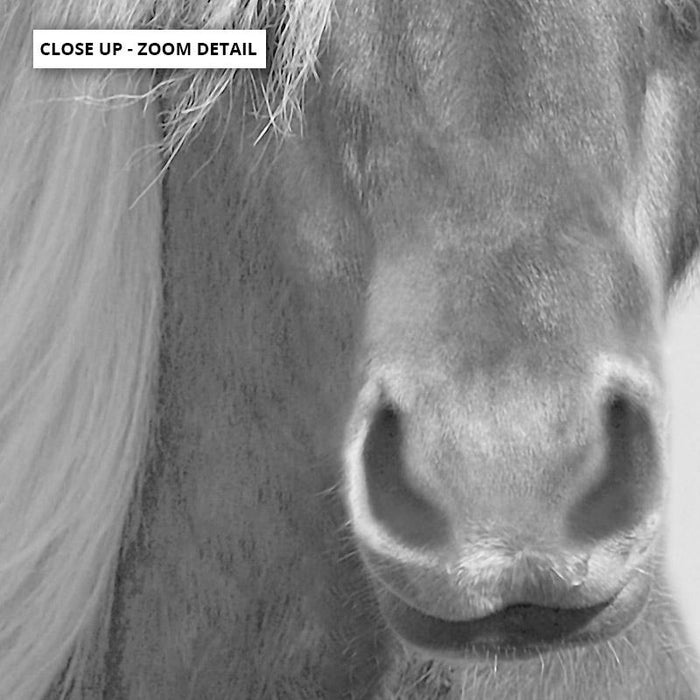 Horse Portrait in Black & White - Art Print - Ozark Home