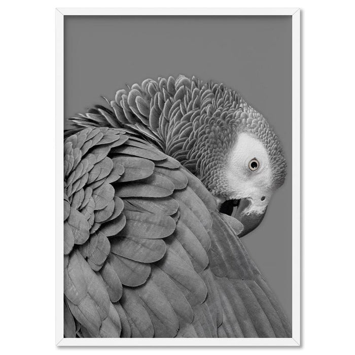 Grey Parrot - Art Print - Ozark Home