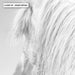 White Horses Duo B&W - Art Print - Ozark Home