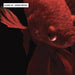 Japanese Red Betta Fighting Fish - Art Print - Ozark Home