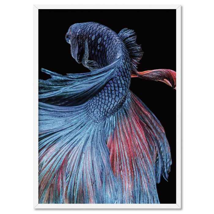 Japanese Red & Blue Betta Fighting Fish - Art Print - Ozark Home