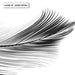 Feather Black & White II - Art Print - Ozark Home