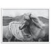 Horses Embrace in B&W - Art Print - Ozark Home