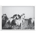 Horses in the Sea in B&W - Art Print - Ozark Home