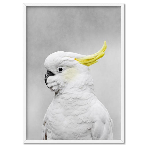 White Sulphur Crested Cockatoo I - Art Print, Wall Art, Ozark Home 