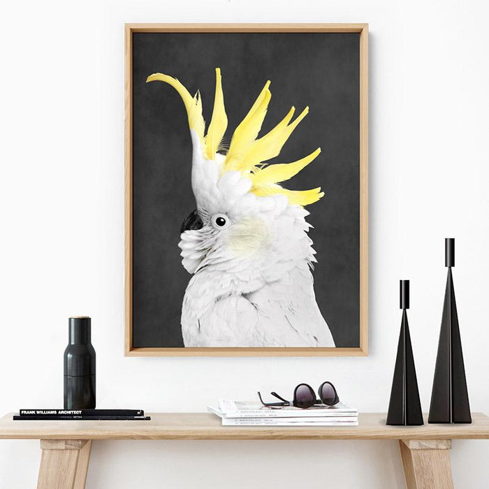 White Sulphur Crested Cockatoo II - Art Print, Wall Art, Ozark Home 