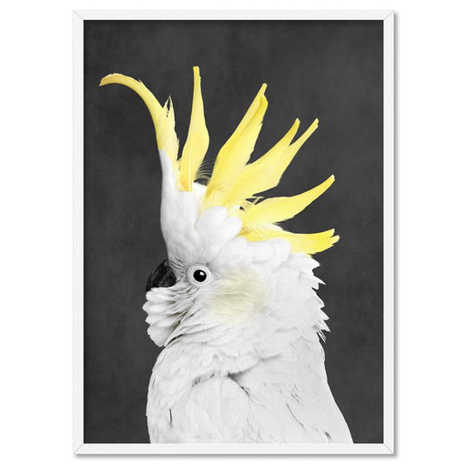 White Sulphur Crested Cockatoo II - Art Print, Wall Art, Ozark Home 