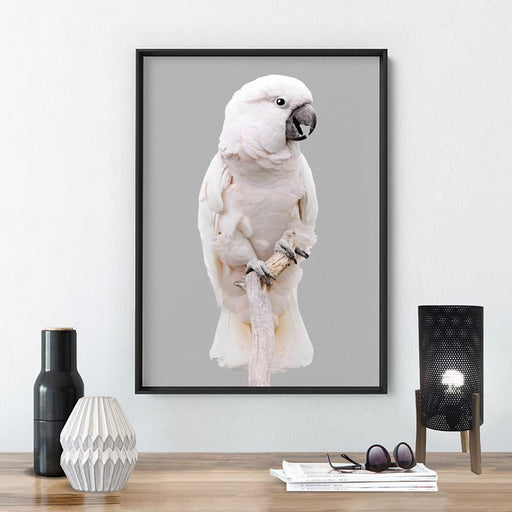 Salmon Crested Cockatoo - Art Print, Wall Art, Ozark Home 