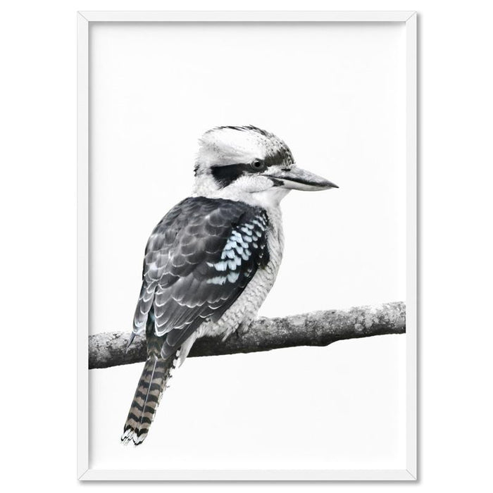 Kookaburra on Branch - Art Print, Wall Art, Ozark Home 