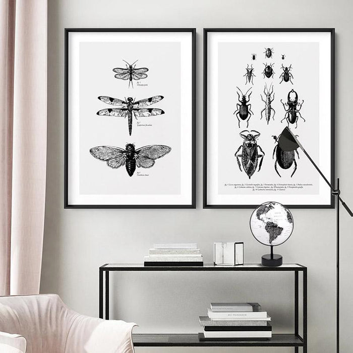 Winged Insects Entomology / Lacewing, Dragonfly & Cicada - Art Print, Wall Art, Ozark Home 