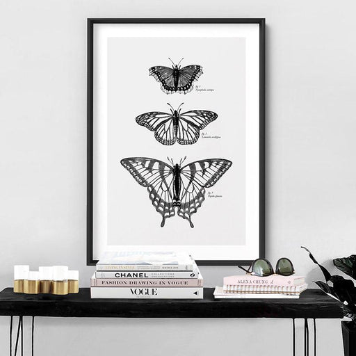 Butterflies Entomology / Mourning cloak, Viceroy & Eastern Tiger Swallowtail - Art Print, Wall Art, Ozark Home 