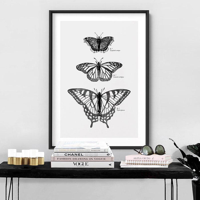 Butterflies Entomology / Mourning cloak, Viceroy & Eastern Tiger Swallowtail - Art Print, Wall Art, Ozark Home 