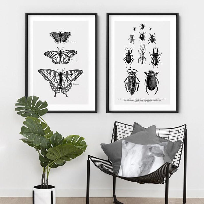 Butterflies Entomology / Mourning cloak, Viceroy & Eastern Tiger Swallowtail - Art Print, Wall Art, Ozark Home 