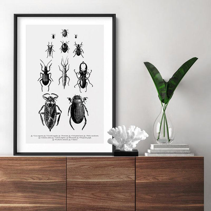 Bugs & Insects Entomology - Art Print, Wall Art, Ozark Home 