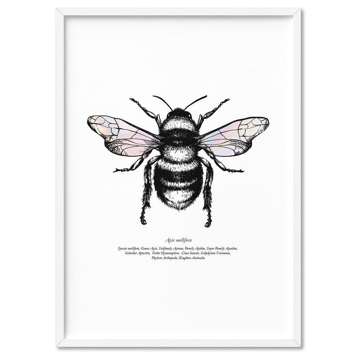 Honey Bee with Holo Wings - Art Print, Wall Art, Ozark Home 