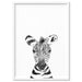 Zebra Baby Peek a Boo Animal - Art Print, Wall Art, Ozark Home 