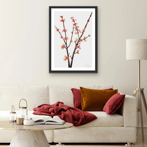 Acer Rubrum (1920) by Mary Vaux Walcott, Wall Art, Ozark Home 