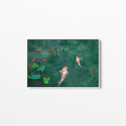 Acting Koi - Fish Koi Art Print Stretched Canvas Wall Art, Wall Art, Ozark Home 