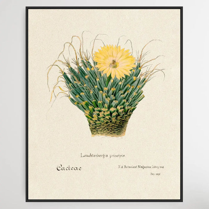 Agave Cactus, Wall Art, Ozark Home 