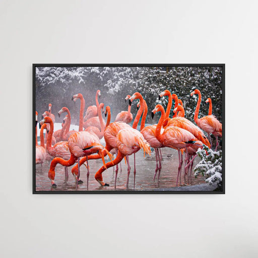 American Flamingo (2009) by Mehgan Murphy, Wall Art, Ozark Home 