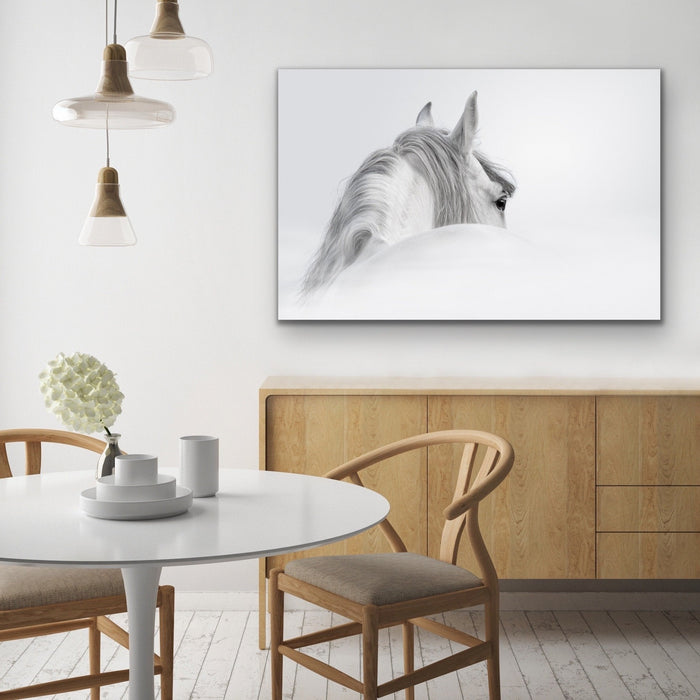 Andalusian Horse - Black and White Art Print or Canvas Print