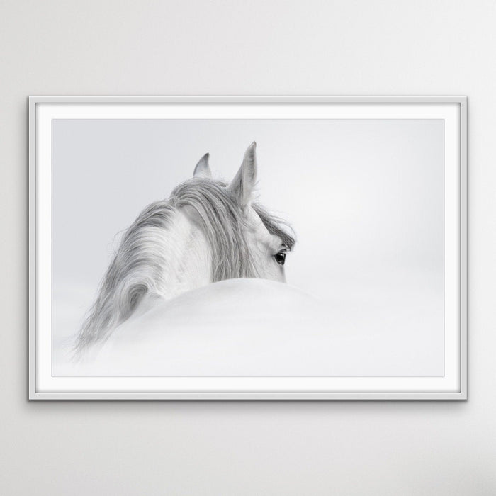 Andalusian Horse - Black and White Art Print or Canvas Print