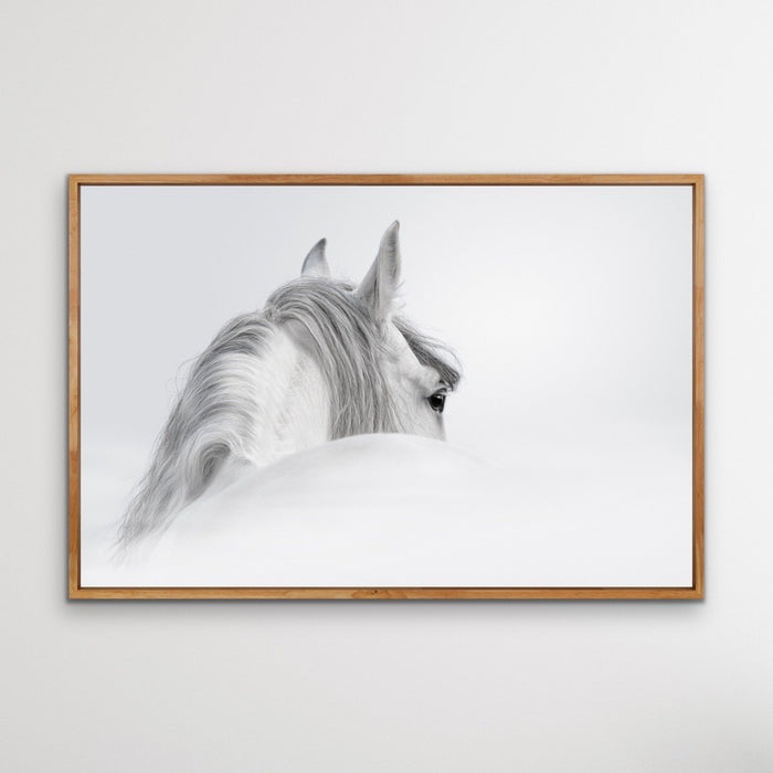 Andalusian Horse - Black and White Art Print or Canvas Print