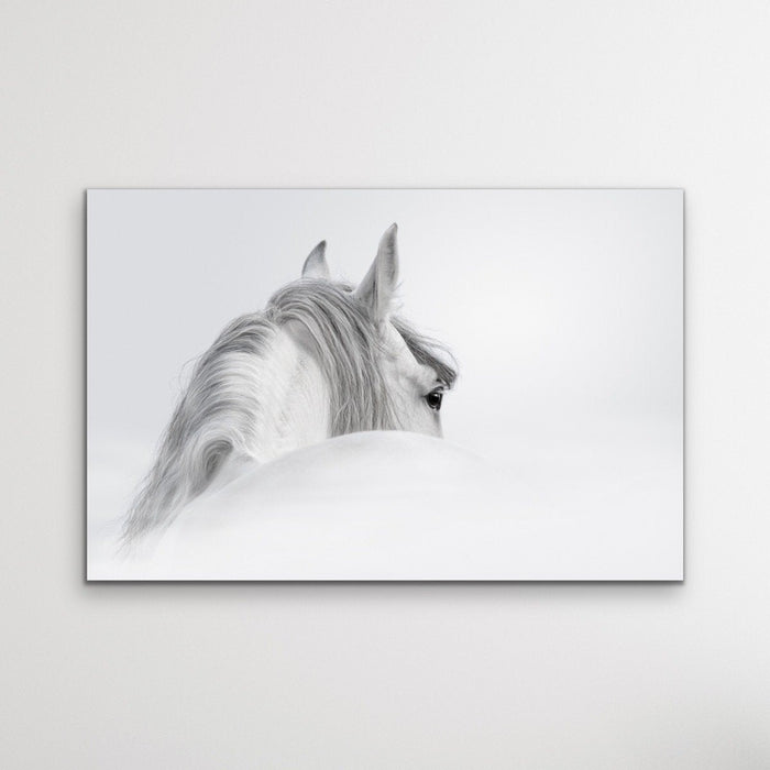 Andalusian Horse - Black and White Art Print or Canvas Print