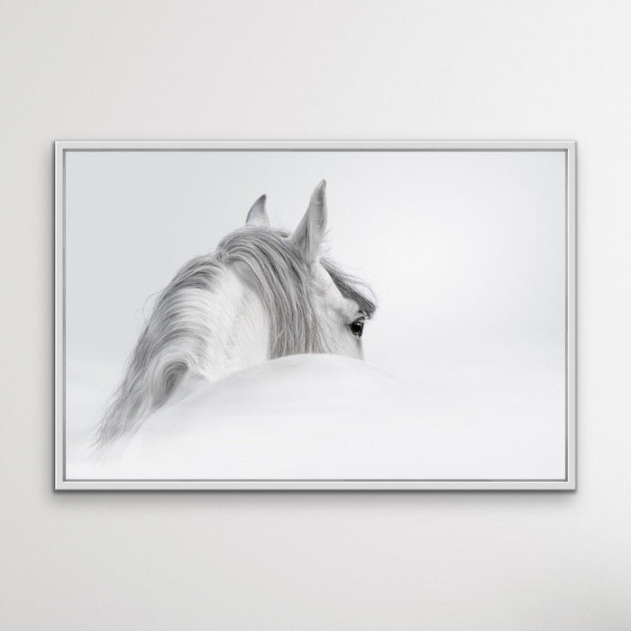 Andalusian Horse - Black and White Art Print or Canvas Print