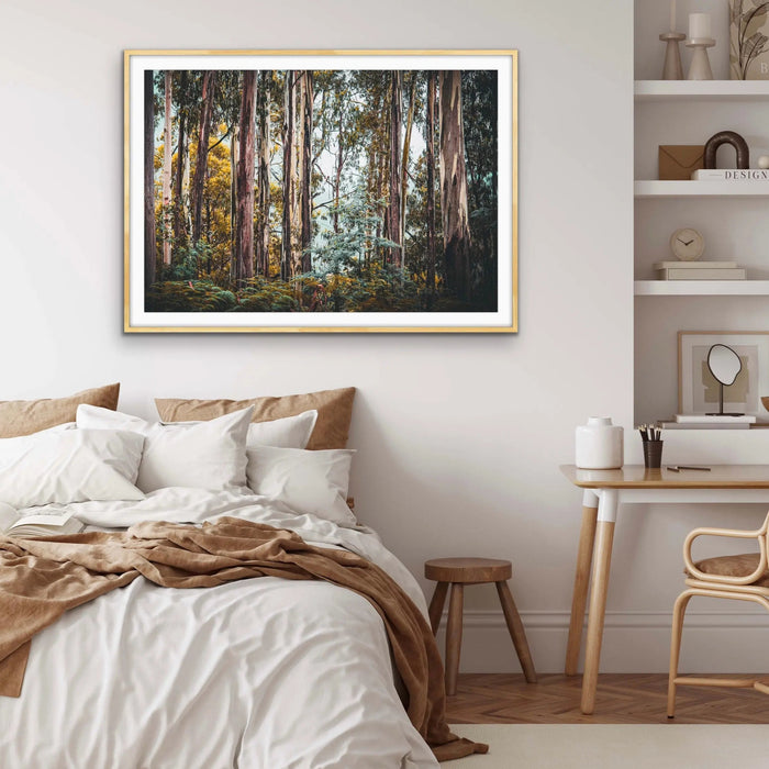 Australian Alpine Forest - Australian Nature Photographic Print