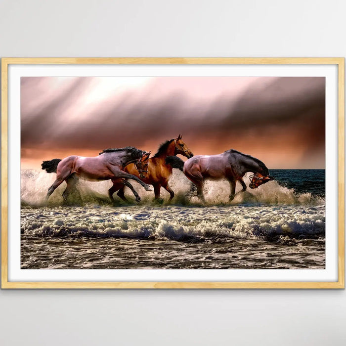 Australian Horses - Beach Photographic Print