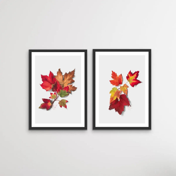 Autumn Leaves I and II - Two Piece Set of Botanical Illustrations By Mary Vaux Walcott