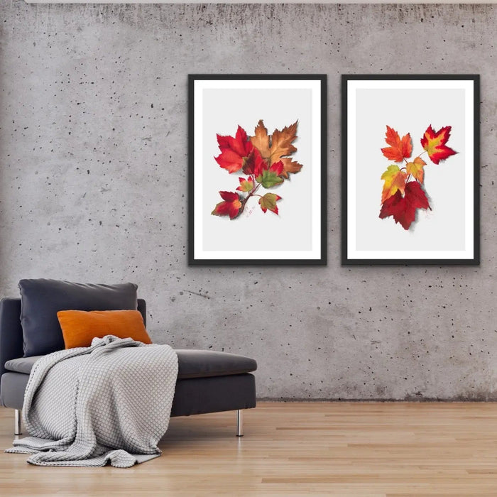 Autumn Leaves I and II - Two Piece Set of Botanical Illustrations By Mary Vaux Walcott