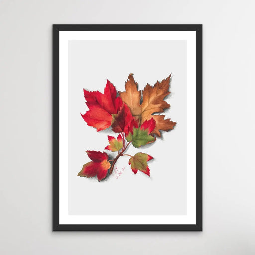 Autumn Leaves II (1874) by Mary Vaux Walcott, Wall Art, Ozark Home 