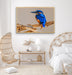 Azure Kingfisher - Blue Australian Bird Canvas And Art Print, Wall Art, Ozark Home 