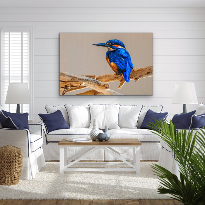 Azure Kingfisher - Blue Australian Bird Canvas And Art Print, Wall Art, Ozark Home 