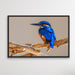 Azure Kingfisher - Blue Australian Bird Canvas And Art Print, Wall Art, Ozark Home 