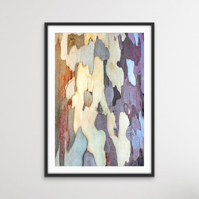 Bark In Lilac Tones - Eucalyptus Bark Photographic Print