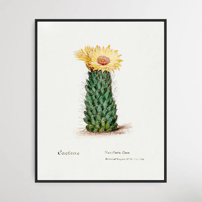 Beehive cactus, Wall Art, Ozark Home 