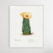 Beehive cactus, Wall Art, Ozark Home 