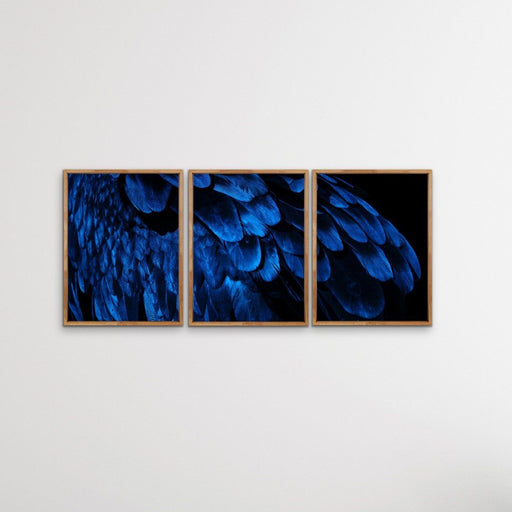 Birds Of A Feather - Three Piece Blue Feather Photographic Art Print  Set, Wall Art, Ozark Home 